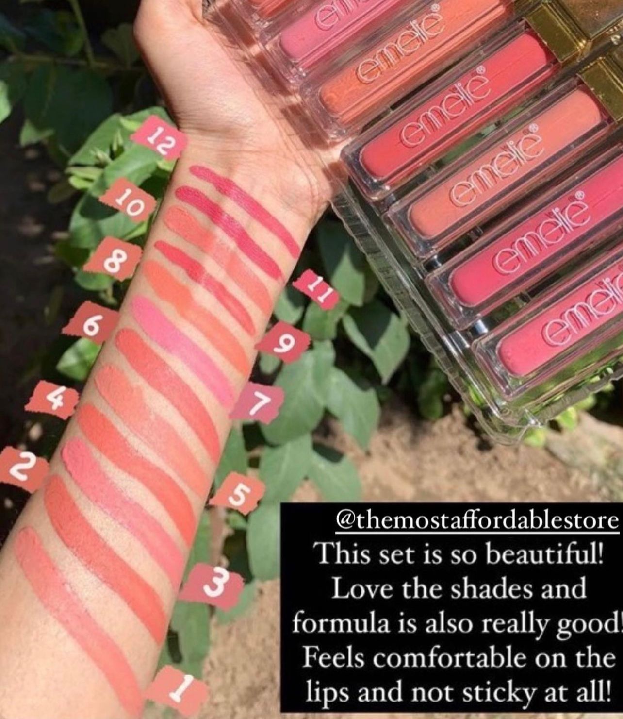 Emelie Liquid Matte Lip gloss (Pack of 12)